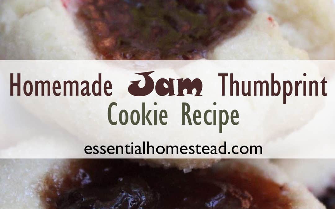 Homemade Jam Thumbprint Cookies Recipe