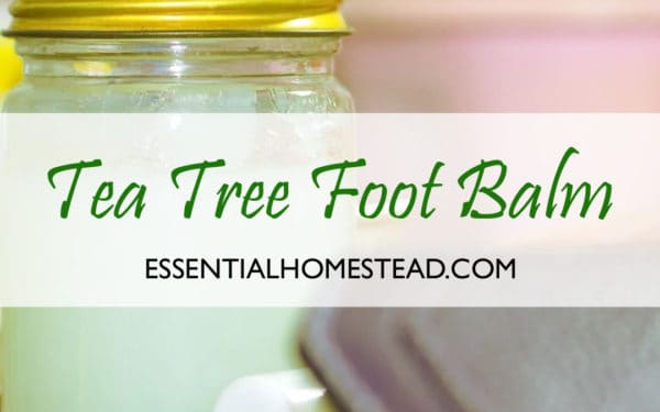 Tea Tree Foot Balm Recipe