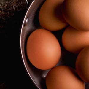 Homemade Eggshell Fertilizer | Essential Homestead