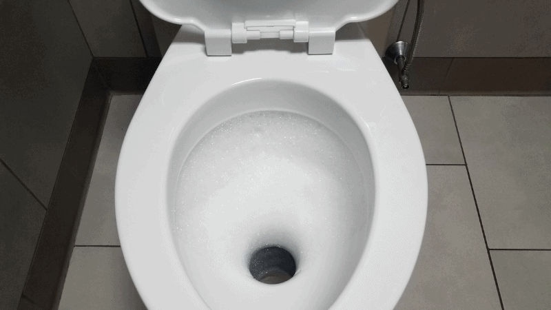 Does the Toilet Bubble When You Shower? Here’s What to Do