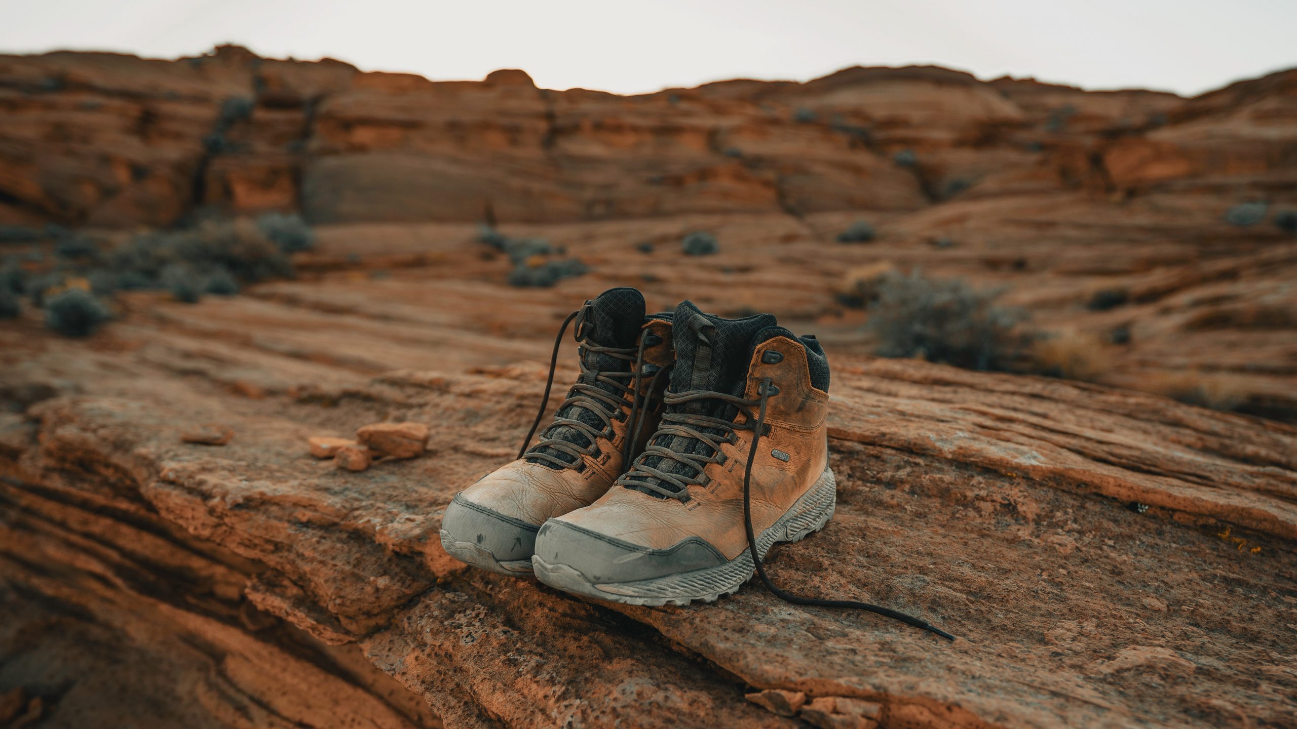 5 Best Hiking Shoes for National Parks