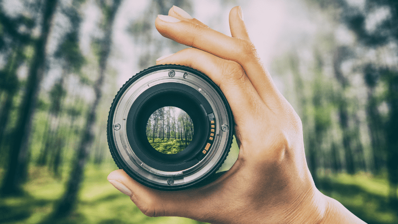Can You Film or Photograph for Social Media in National Parks?
