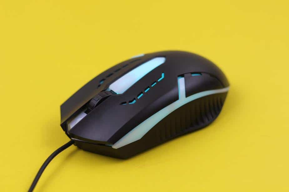 The Most Expensive Mouse in the World (Top 6 List)