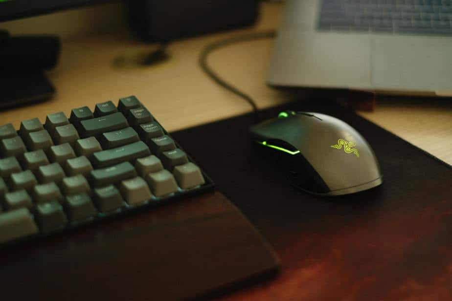 Gaming Mouse vs. Normal Mouse (Our Top 5 Picks)