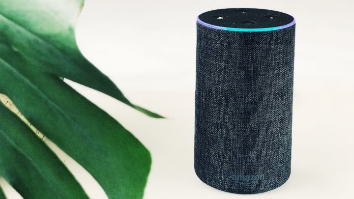 How Can I Find my Echo Dot? 4 Easy Ways