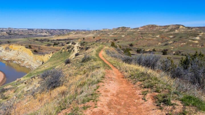 Is Theodore Roosevelt National Park Worth It?