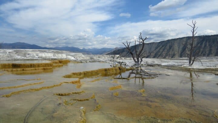 Can You Swim Mammoth Hot Springs Yellowstone? (No, But You Can In These Other Yellowstone Hot Spots)